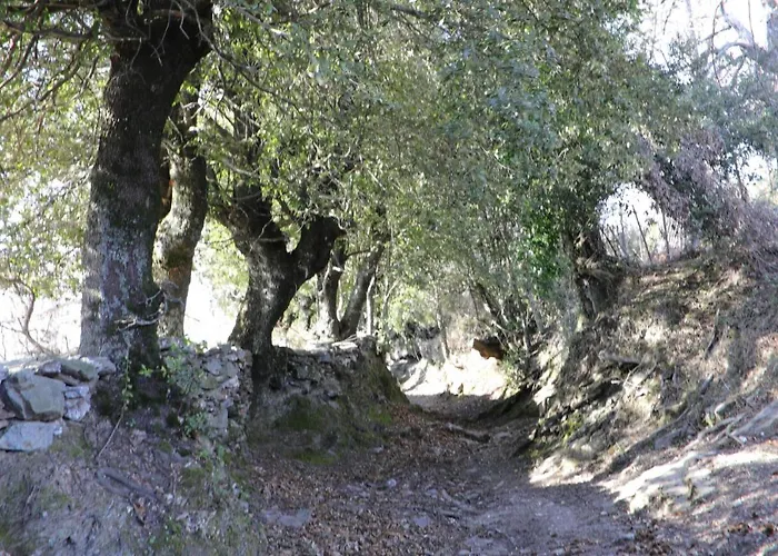 Casa Di Lucia Mi-hotel