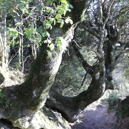 Casa Di Lucia Mi-hotel Mazzola