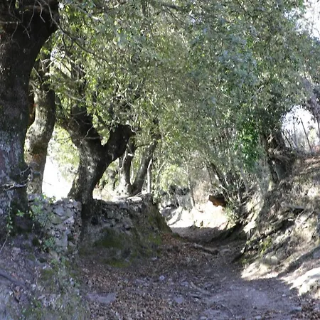 Casa Di Lucia Mi-hotel