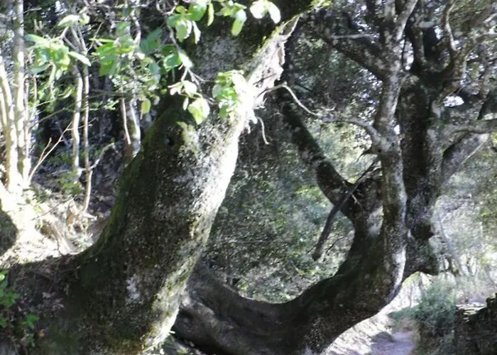 Casa Di Lucia Mi-hotel Mazzola